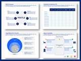 Business Plan Template in Powerpoint