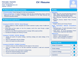CV landsape for Business consulting proposal