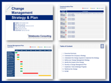 Change Management Toolkit - Frameworks, Tools and Templates