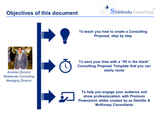 Consulting proposal example