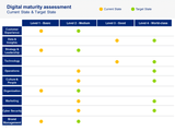 Digital Maturity Model