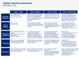 Digital Transformation Maturity Model