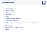 Marketing Strategy and Plan - Table of content
